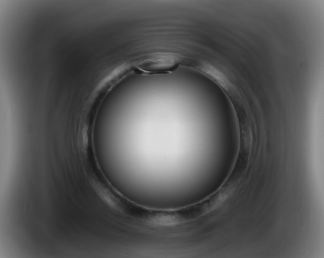 X0000086110350200703301242