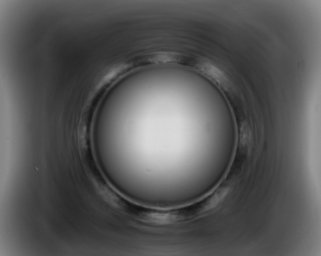 X0000086110351200703301242