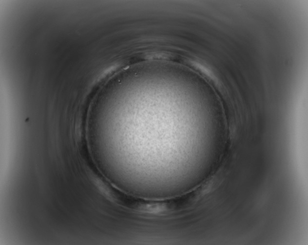 X0000086110353200703301242