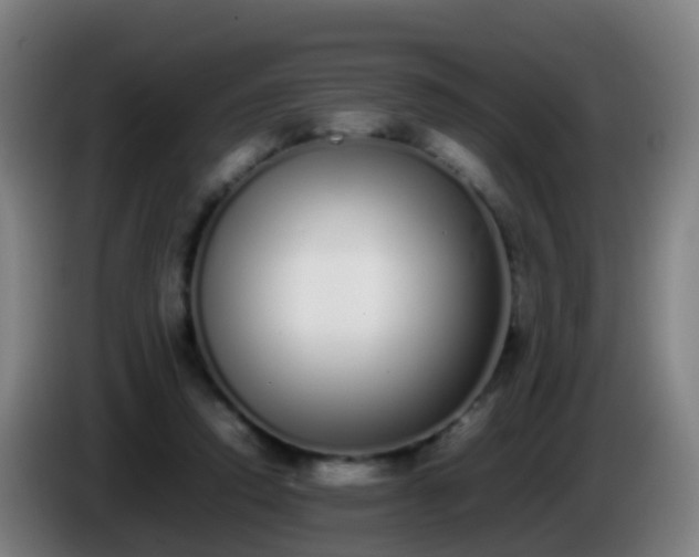 X0000086110354200703301242