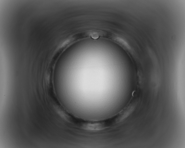 X0000086110357200703301242