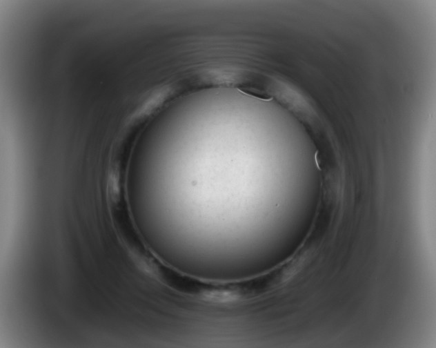 X0000086110358200703301242