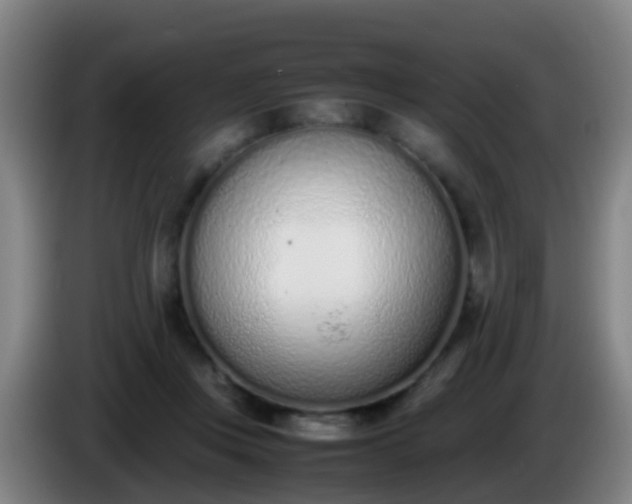 X0000086110359200703301242