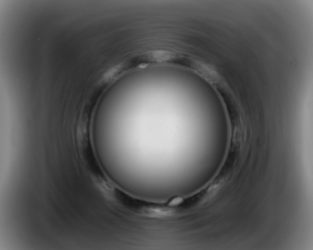 X0000086110360200703301242