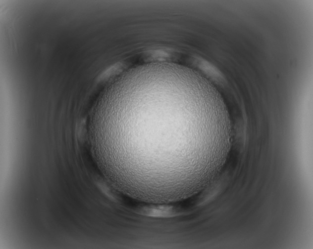 X0000086110361200703301242