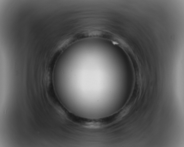 X0000086110362200703301242