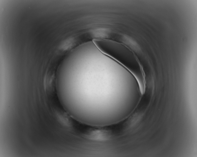 X0000086110364200703301242