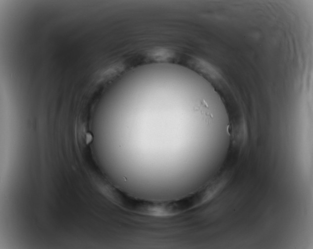 X0000086110365200703301242