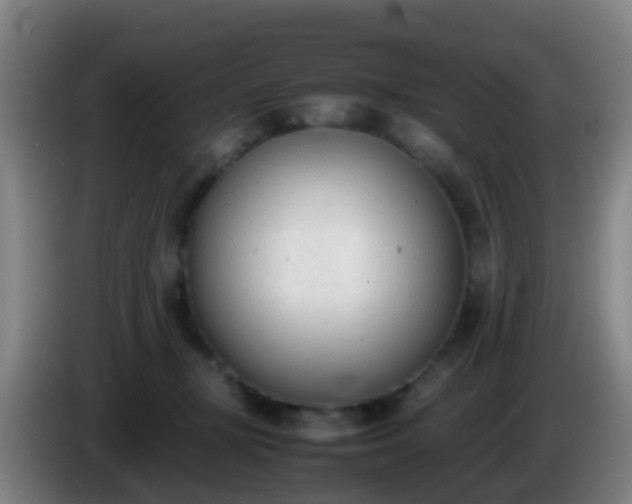 X0000086110367200703301242