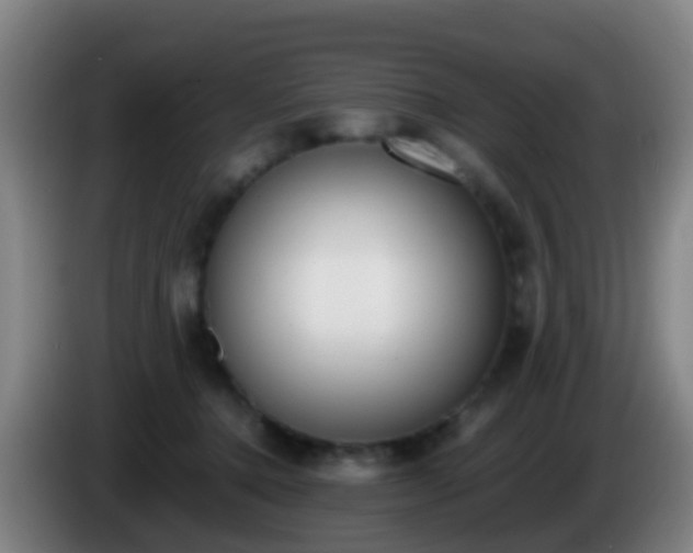 X0000086110368200703301242