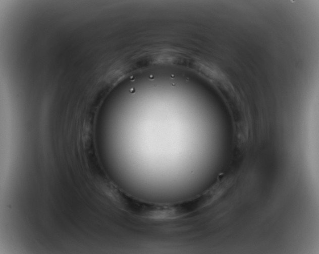 X0000086110369200703301242