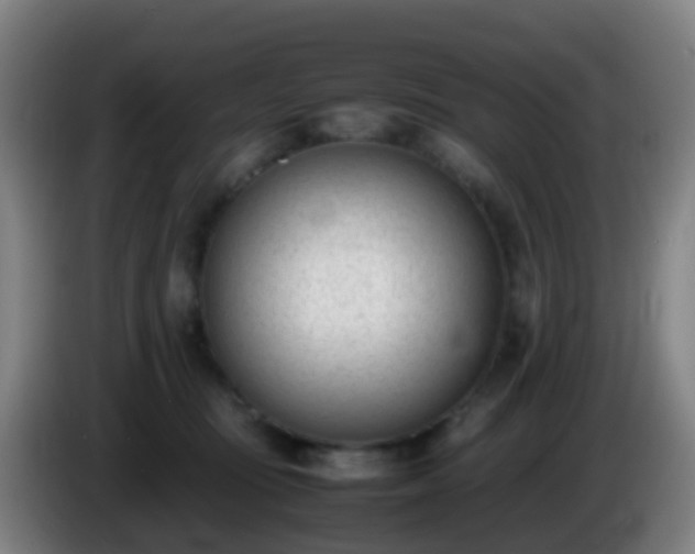 X0000086110371200703301242