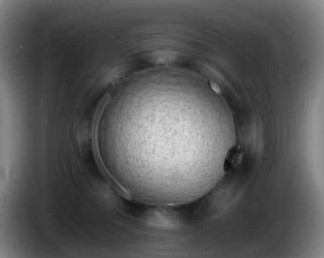 X0000086110372200703301242