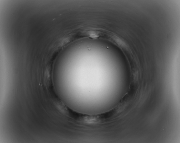 X0000086110373200703301242