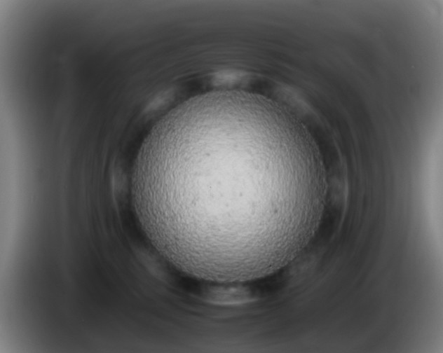 X0000086110375200703301242