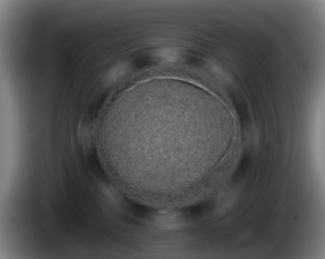 X0000086110376200703301242