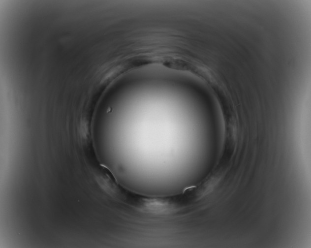 X0000086110380200703301242