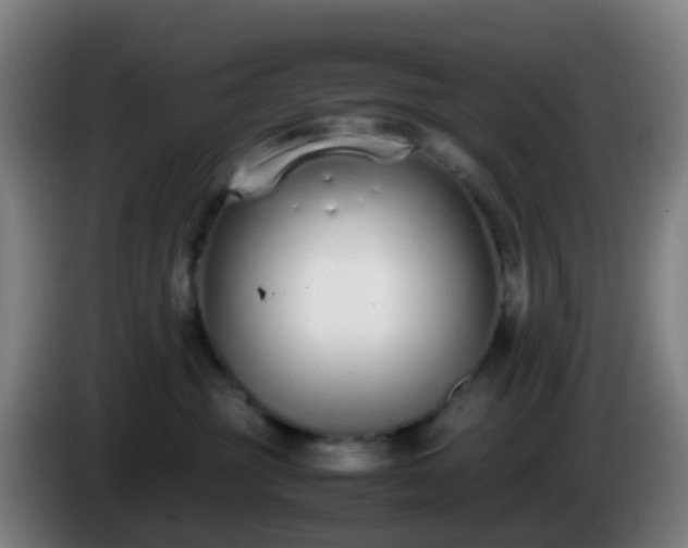 X0000086110381200703301242