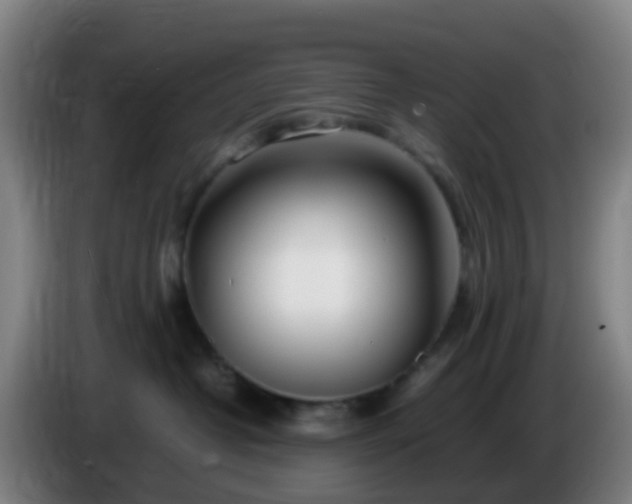 X0000086110382200703301242