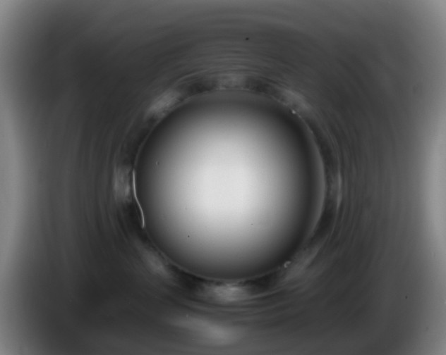 X0000086110383200703301242