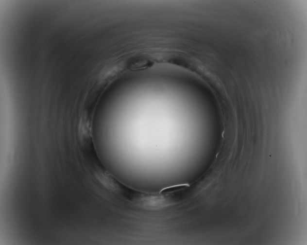 X0000086110384200703301242