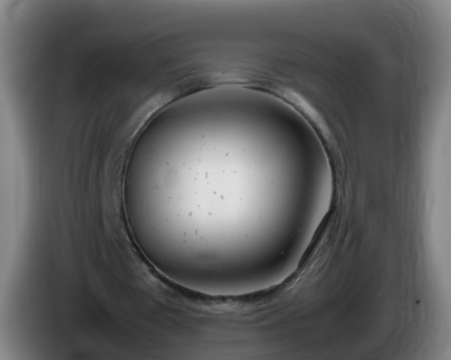 X0000086110385200703301241