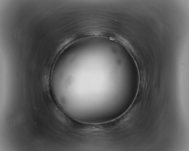 X0000086110386200703301241