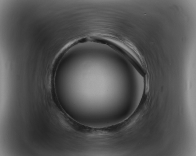 X0000086110387200703301241