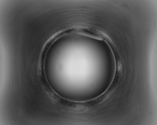 X0000086110388200703301241