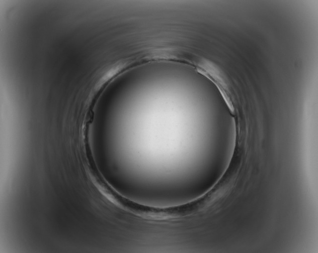 X0000086110389200703301241