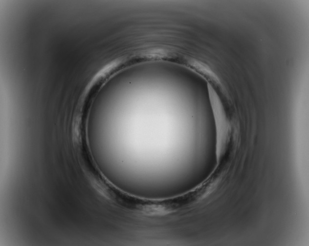 X0000086110392200703301241