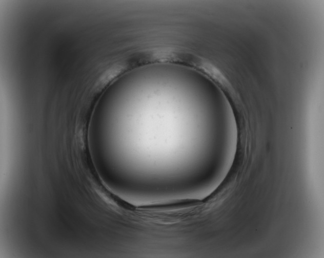 X0000086110393200703301241