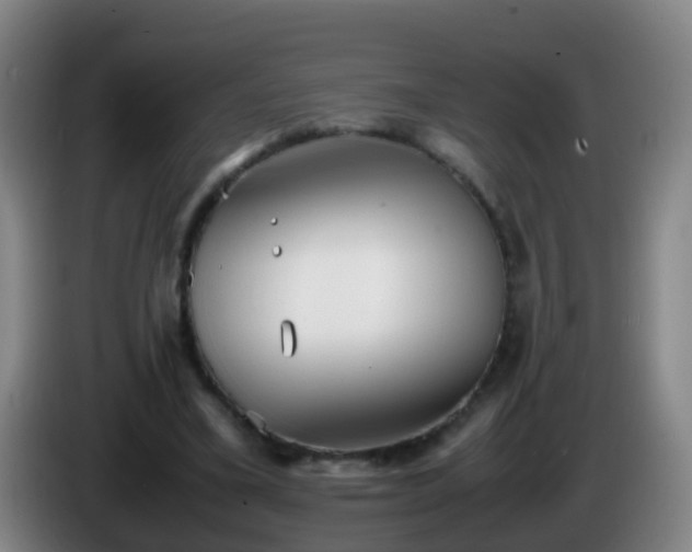 X0000086110395200703301241