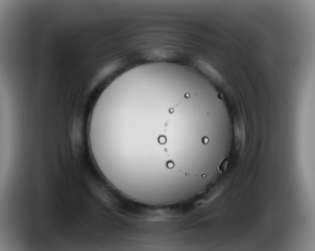 X0000086110396200703301241