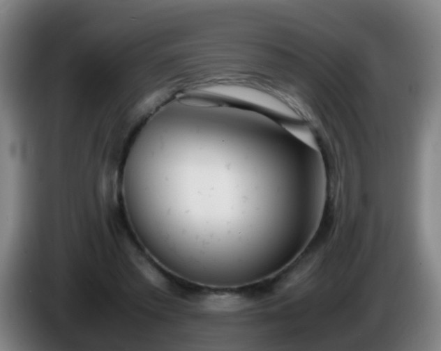 X0000086110397200703301241