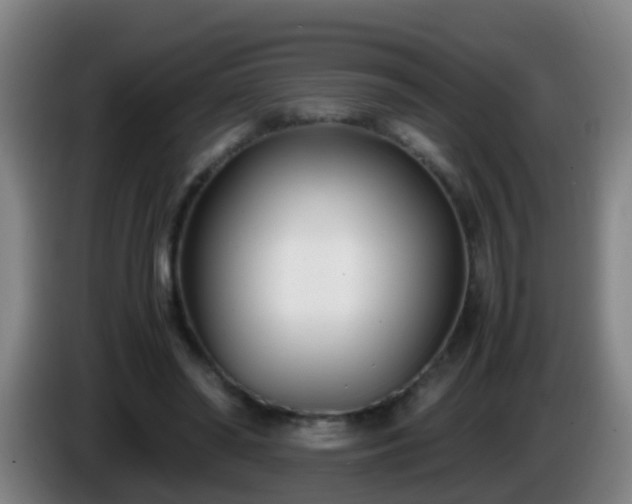 X0000086110398200703301241