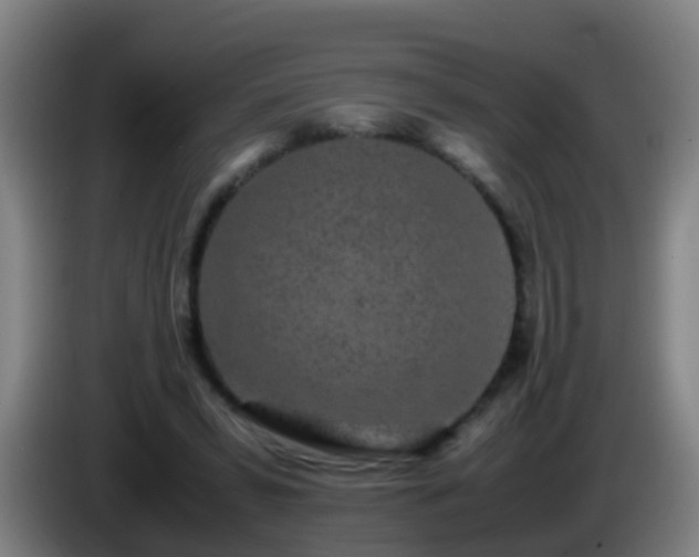 X0000086110399200703301241