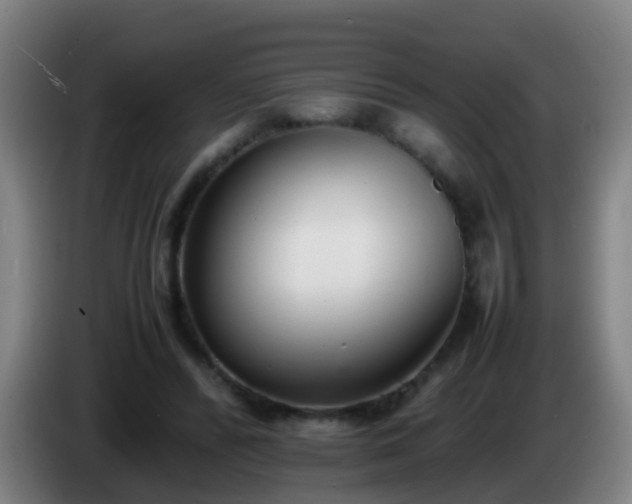 X0000086110400200703301241