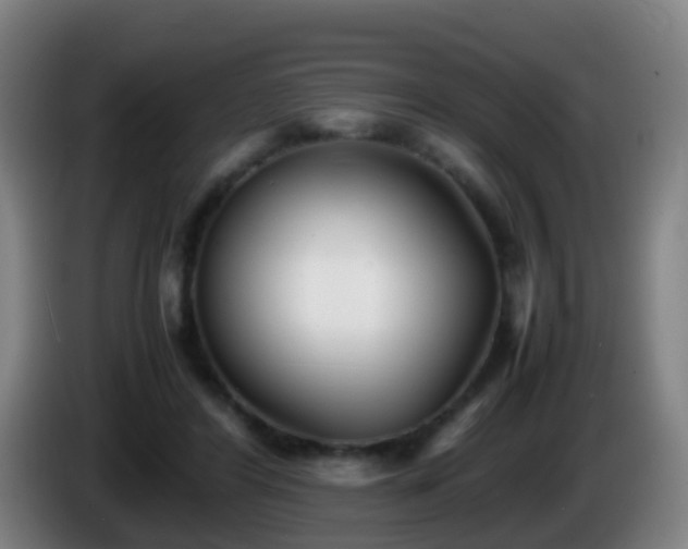 X0000086110404200703301241