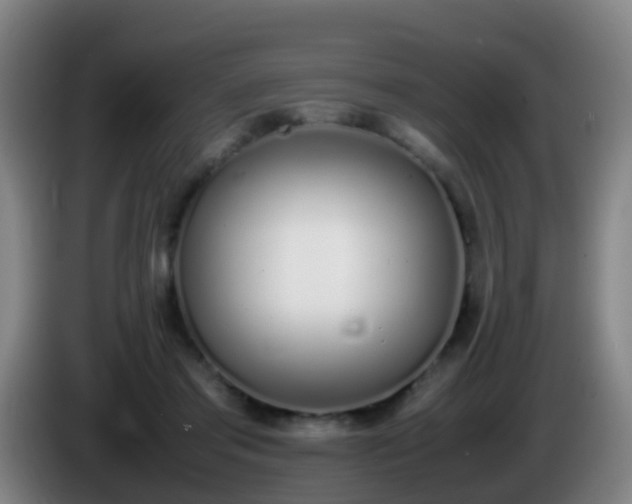 X0000086110405200703301241