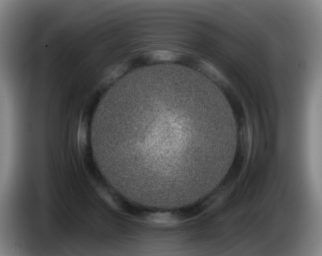 X0000086110406200703301241