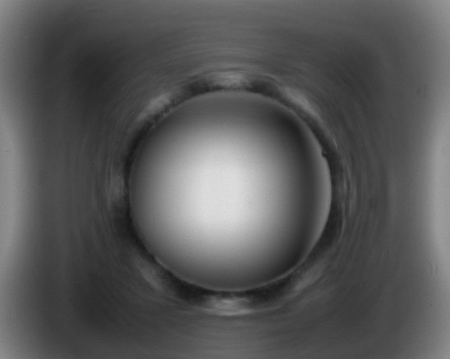 X0000086110407200703301241