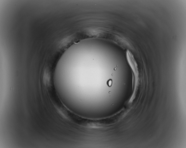 X0000086110408200703301241