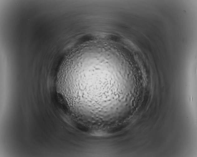 X0000086110409200703301241