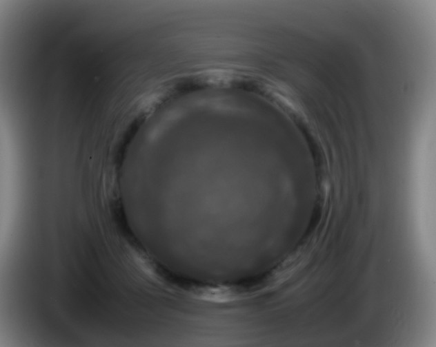 X0000086110411200703301241