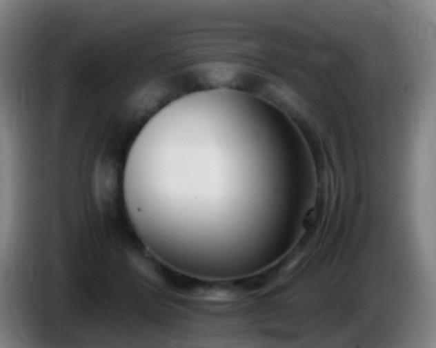 X0000086110412200703301241