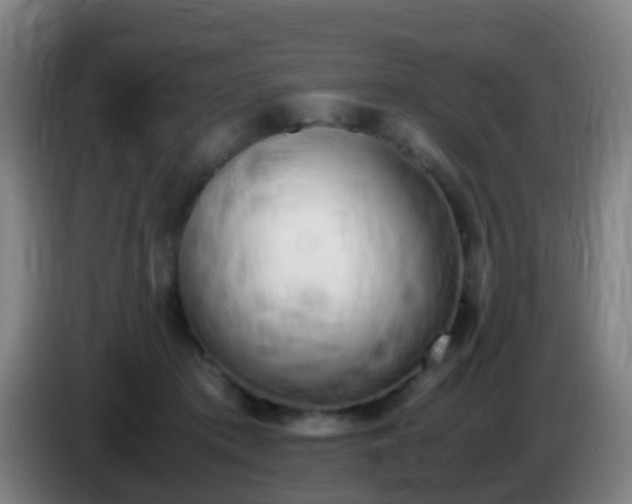 X0000086110413200703301241