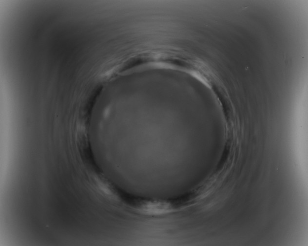 X0000086110415200703301241