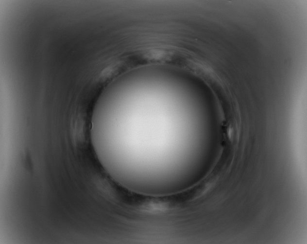 X0000086110416200703301241