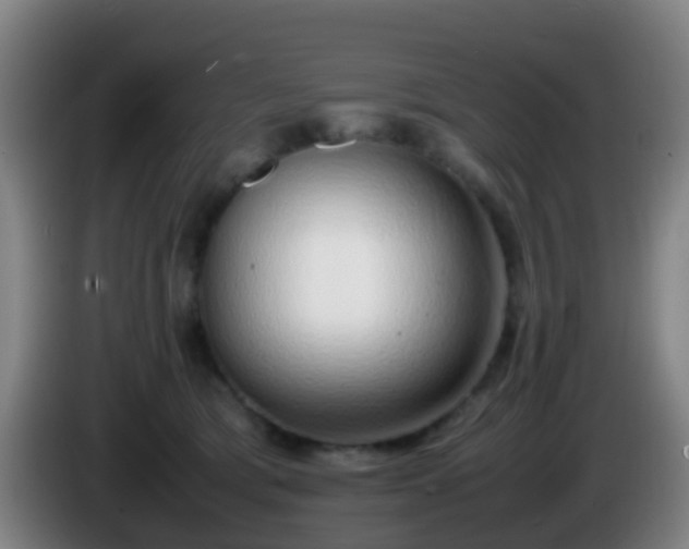 X0000086110417200703301241